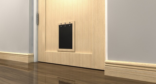 Cat Flap Installation Shepperton, Upper Halliford, TW17