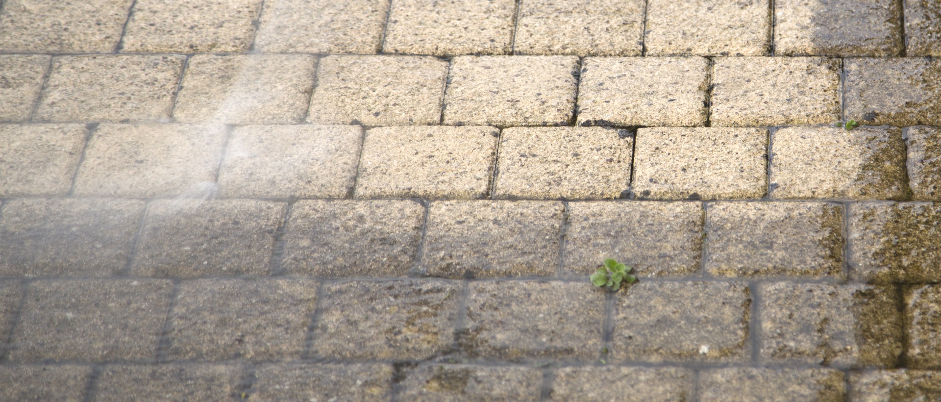 flagging and patios TW17