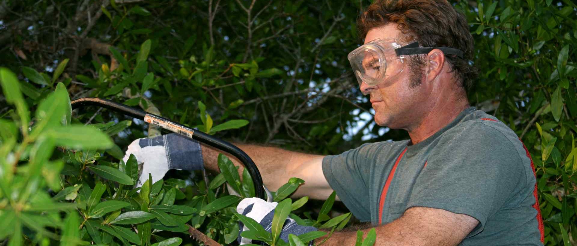 garden clearance TW17